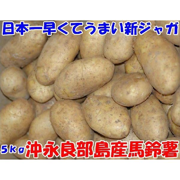 日本一早くてうまい新じゃが 鹿児島県沖永良部産 馬鈴薯 5kg 20〜30個入 メークイン L〜2L...
