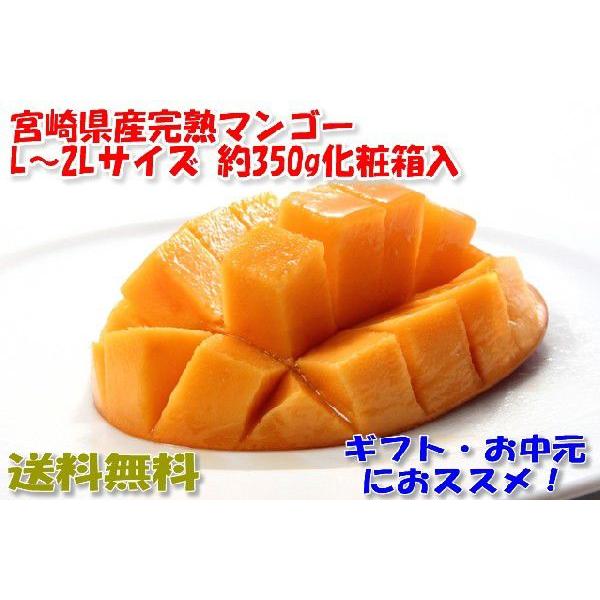 2026年4月分予約 宮崎マンゴー 贈答向け 2Lサイズ 約350g化粧箱入 宮崎  ギフト マンゴ...