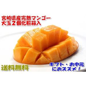 2026年4月分予約 宮崎マンゴー 贈答向け 2L大玉2個化粧箱入 宮崎  ギフト マンゴ...