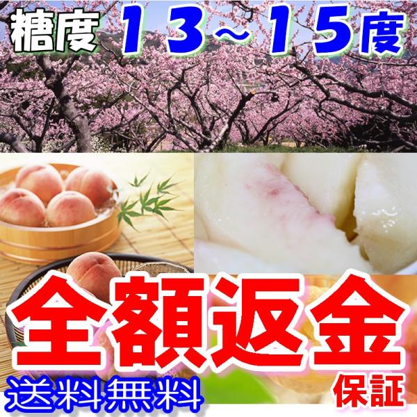 2026年6月分予約 全額返金保証 減農薬 訳あり あら川の桃 桃 荒川 あらかわ 11〜15玉 約...