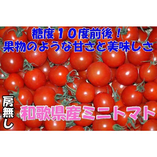 2026年分予約 全額返金保証 甘い 808 ミニトマト 250g 房なし プチトマト フルーツトマ...