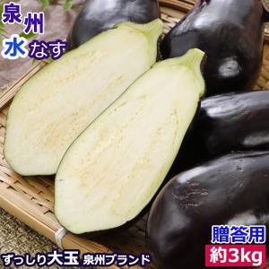 2026年5月分予約 泉州 生 水なす 大玉15個 約3kg 贈答用 水ナス 水茄子 ギフト *...