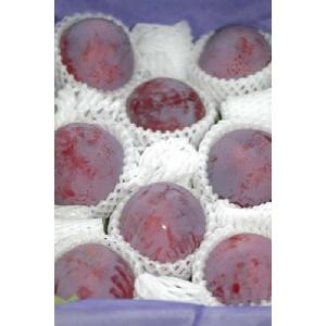 2026年7月分予約 プラムの最高級品 貴陽 約1.6kg6〜11玉化粧箱入 スモモ プラム ...