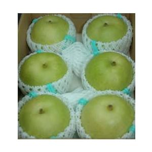 2026年9月分予約 二十世紀梨 鳥取 2キロ 大玉6個前後入 贈答向け 秀品 20世紀梨 20世紀...