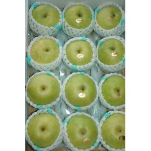 2026年9月分予約 二十世紀梨 鳥取 約5キロ 大玉12〜14個 化粧箱入 贈答向け 秀品...