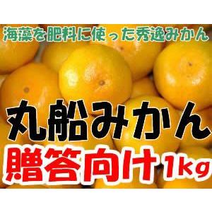 和歌山 有田産 丸船みかん贈答向け S〜2Lサイズ 1kg 5〜15個入 秀品 有田みかん