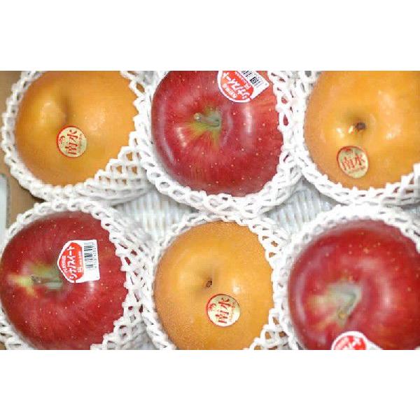 長野産 南水梨 シナノスイート 2キロ 贈答用 秀品 大玉5~6個入 梨 リンゴ りんご 林檎 南水...