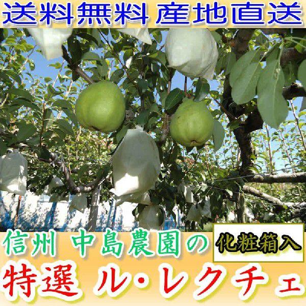 長野産 ル レクチェ 贈答用 約4kg 7~12個 化粧箱入 洋梨 ギフト 産地直送 * ふるさと納...