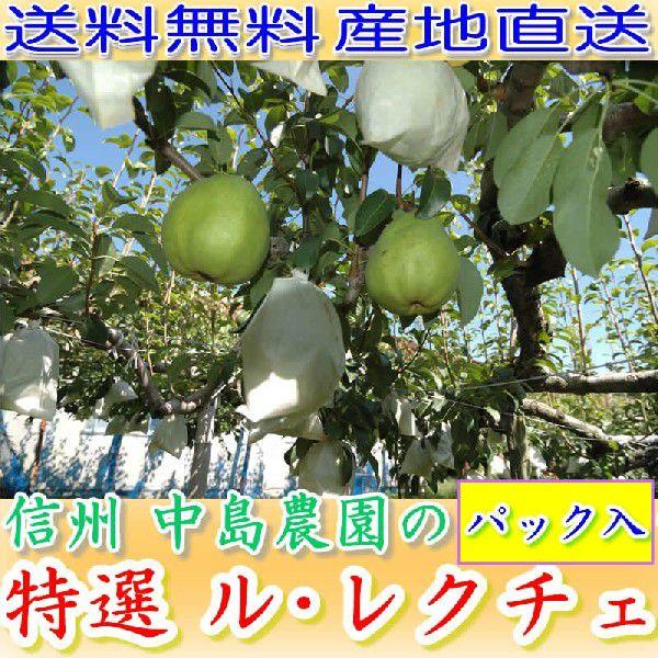 送料無料 農園より産地直送 中島農園の洋梨『ル レクチェ』　約5kg16~20個パック入 セール 御...