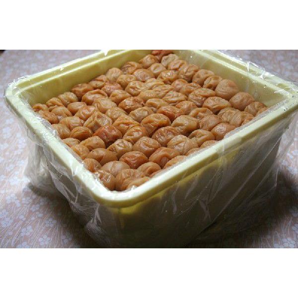 無添加 無着色 和歌山産 南高梅「白干し梅」梅干し Lサイズ5kg 紀州梅 産地直送 * ふるさと納...