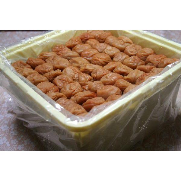 無添加 無着色 和歌山産 南高梅「白干し梅」梅干し 3Lサイズ5kg 紀州梅 産地直送 * ふるさと...