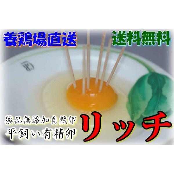 【100円OFFクーポン対象】送料無料 産地直送 愛媛 参鍋養鶏場 『リッチ』有精卵80個入 送料込...