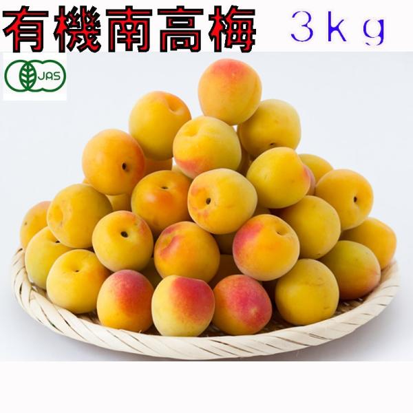 有機JAS 和歌山 南高梅 梅干し用 生梅 訳あり 3kg 完熟 サイズ混合 産地直送 * ふるさと...