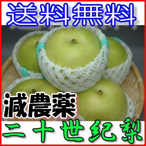 減農薬 長野 二十世紀 梨 約9キロ 24〜30個入 贈答用 20世紀梨 20世紀 二十世紀梨 和梨...