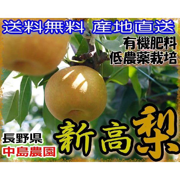 送料無料 産地直送 長野県 中島農園の特選新高梨 約4.5キロ 大玉5~9個 産地箱入 贈答用 * ...