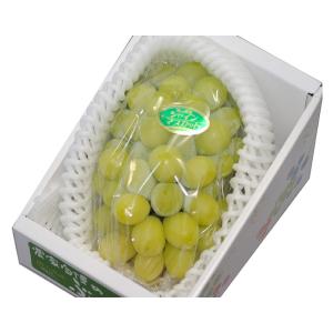 シャインマスカット 大粒1房 約700~800g 化粧箱入 * ふるさと納税 ではありません