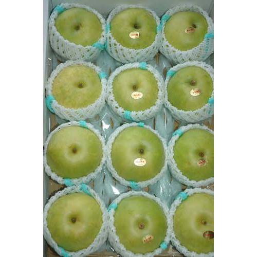 2026年9月分予約 二十世紀梨 約10キロ 28〜32個入 ご家庭用 訳あり  規格外品 梨 20...