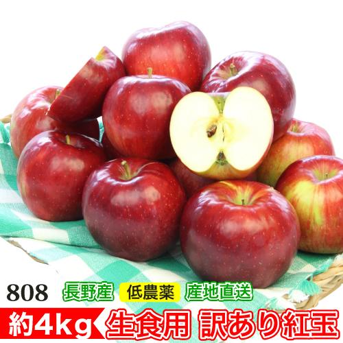 2026年9月分予約 訳あり 減農薬 長野 生食用 紅玉 りんご 約4~8kg C品 小玉16~60...