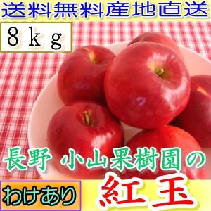 訳あり 減農薬 長野 生食用 紅玉 りんご 約8kg C品 小玉32~60個入 リンゴ 林檎 産地直送 小山 SSS 9g｜808