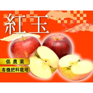 訳あり 減農薬 長野 生食用 紅玉 りんご 約...の詳細画像1
