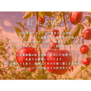 訳あり 減農薬 長野 生食用 紅玉 りんご 約...の詳細画像2