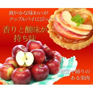 訳あり 減農薬 長野 生食用 紅玉 りんご 約...の詳細画像3