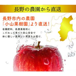 訳あり 減農薬 長野 生食用 紅玉 りんご 約...の詳細画像4
