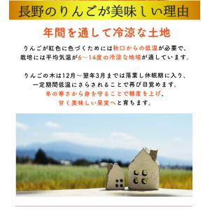 訳あり 減農薬 長野 生食用 紅玉 りんご 約...の詳細画像5