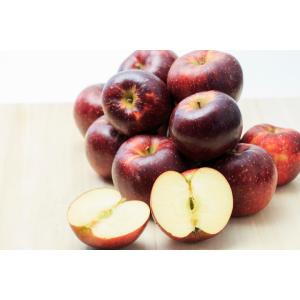 減農薬 長野 秋映 りんご B品 約4.5kg 12~25個入 秋映え リンゴ 林檎 産地直送 ...