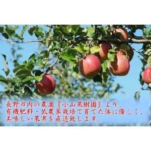 10月分予約 減農薬 シナノスイート りんご ...の詳細画像1