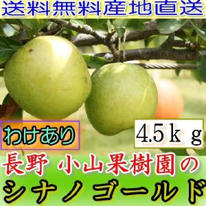 訳あり 減農薬 長野 小玉 シナノゴールド りんご 約4.5kg 8~25個入 C品 リンゴ 林檎 産地直送 小山