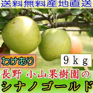 2025年11月分予約 訳あり 減農薬 長野 小玉 シナノゴールド りんご 約9kg 16~50...