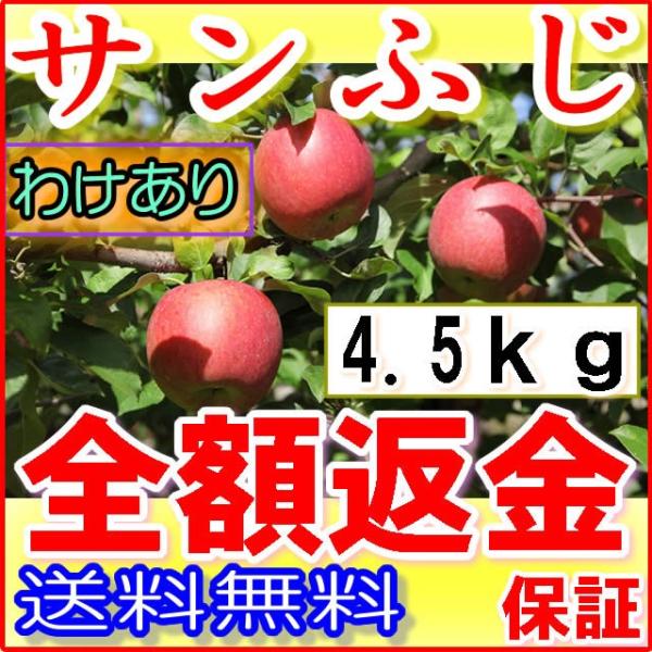 減農薬 サンふじ りんご 訳あり 約4. 5kg C品 12〜25個入 長野 リンゴ 林檎 さんふじ...