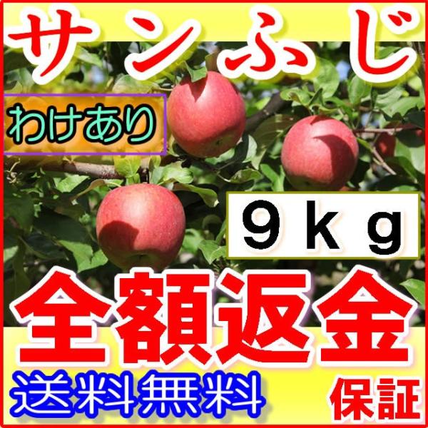 減農薬 サンふじ りんご 訳あり 約9kg C品  24〜50個入 長野 リンゴ 林檎 さんふじ サ...