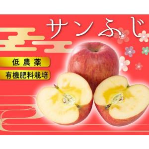 12月分予約 減農薬 サンふじ りんご 訳あり...の詳細画像1