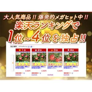 12月分予約 減農薬 サンふじ りんご 訳あり...の詳細画像2
