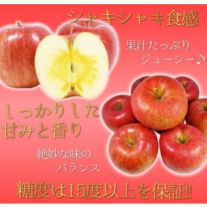 12月分予約 減農薬 サンふじ りんご 訳あり...の詳細画像5