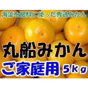 【訳あり】和歌山県有田産 丸船みかん S~2Lサイズ 5kg 30~60個入 有田みかん * ふるさ...