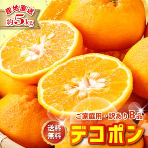 2026年3月分予約 最高糖度15度 訳あり 愛媛 減農薬 デコポン 約5kg B品 サイズ混...