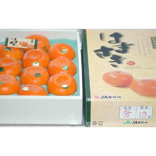 佐賀県産 贈答用 はまさき 麗紅 みかん 約2.5kg8~15個 産地化粧箱入 * ふるさと納税 で...