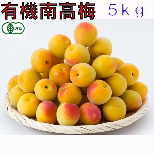 有機JAS 和歌山 南高梅 梅干し用 生梅 訳あり 5kg 完熟 サイズ混合 産地直送 * ふるさと...