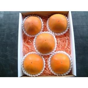 2026年9月分予約 糖度22度 返金保証 和歌山 柿 新秋柿 2L 6玉 約1.3kg 化粧箱 贈...