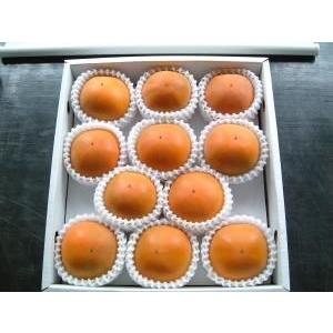 2026年9月分予約 糖度22度 返金保証 和歌山 柿 新秋柿 L 11玉 約2kg 化粧箱 贈答用...