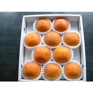 2026年9月分予約 糖度22度 返金保証 和歌山 柿 新秋柿 2L 10玉 約2.2kg 化粧箱 ...