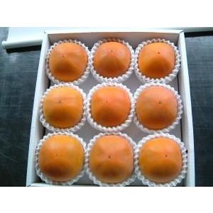 2026年9月分予約 糖度22度 返金保証 和歌山 柿 新秋柿 3L 大玉9玉 約2.3kg 化粧箱...