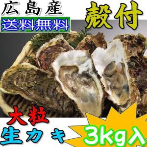 加熱用加熱用送料無料 産地直送 広島産殻付き 生牡蠣 カキ  大粒3kg 30個程度 贈答用化粧箱入  ギフト｜808