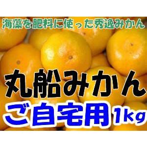 【訳あり】和歌山県有田産 丸船みかん S~2Lサイズ1kg 5~15個入 有田みかん * ふるさと納...