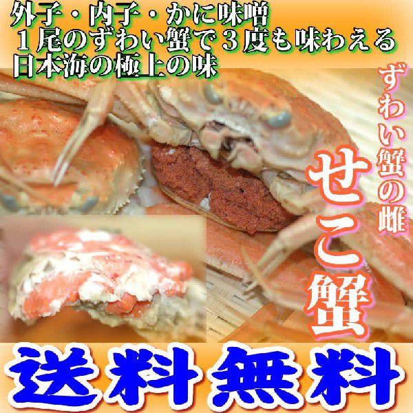兵庫 せこがに  活/ボイル 小サイズ5枚入  産地直送