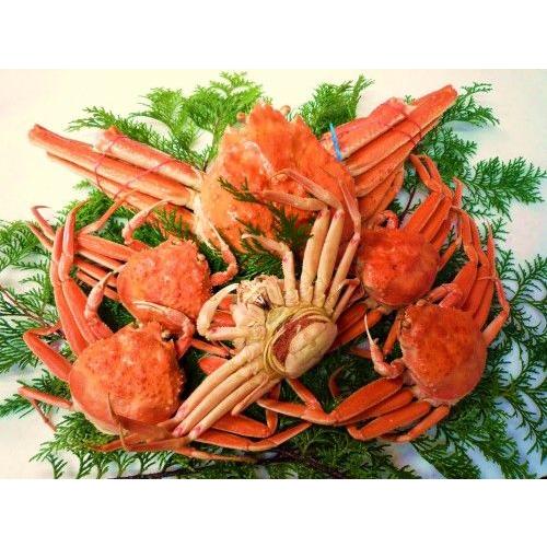 送料無料 兵庫 産地直送 超特選 夫婦かにセット 松葉ガニ超特大サイズ1.3kg以上1枚+子持ちがに...