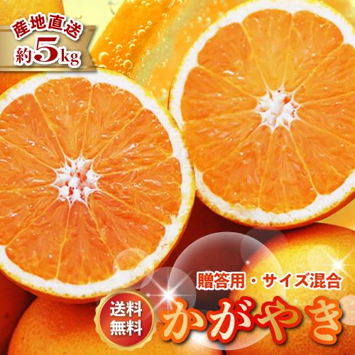 2026年3月分予約 糖度15度 愛媛産 減農薬 かがやき 贈答用 約5kg サイズ混合 清見 オレ...